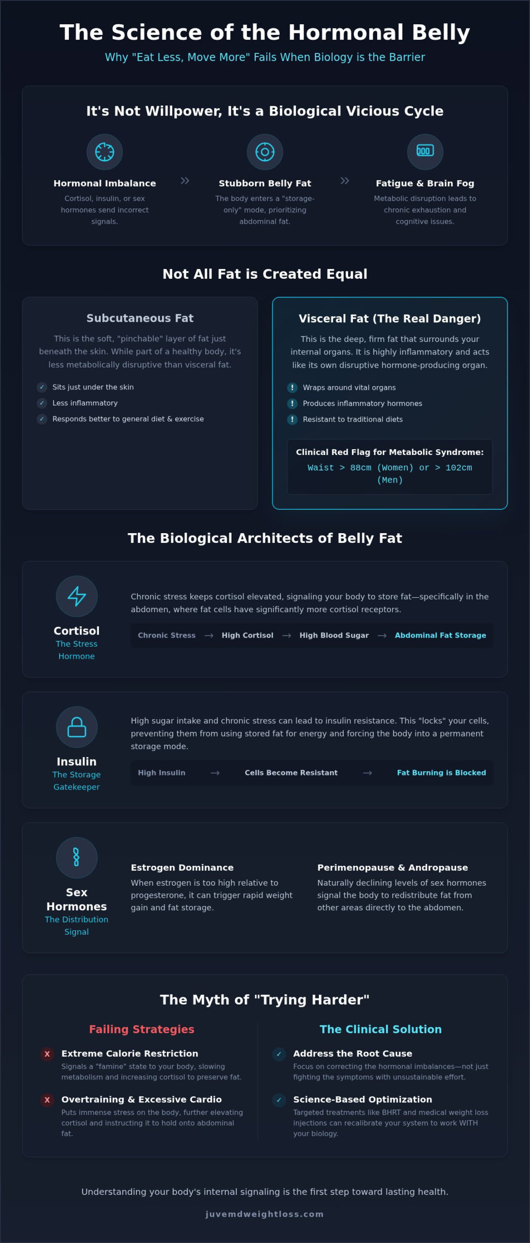 Hormone Imbalance and Belly Fat: Why 'Eating Less' Isn't the Answer in 2026